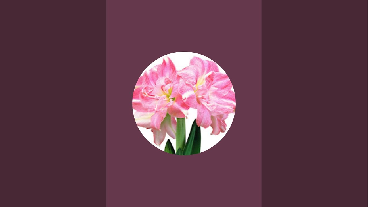 Exotic Plants is live!