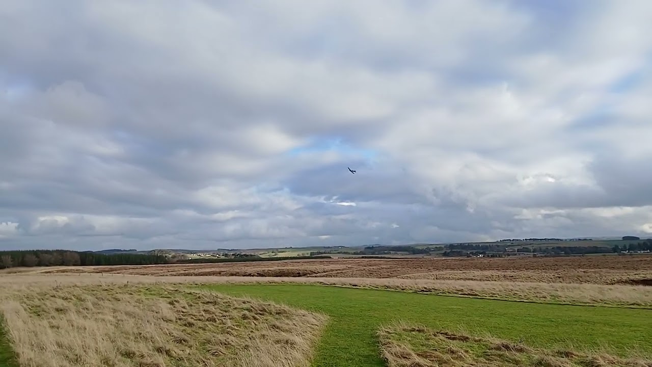 Maddie's first flight of 2026....  