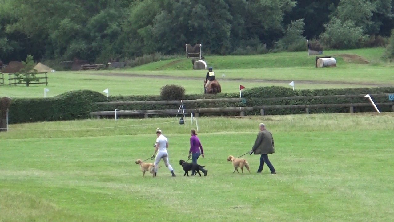 Harriet Turton and Kates Touch: BE Intermediate Cross Country at Aston Le Walls