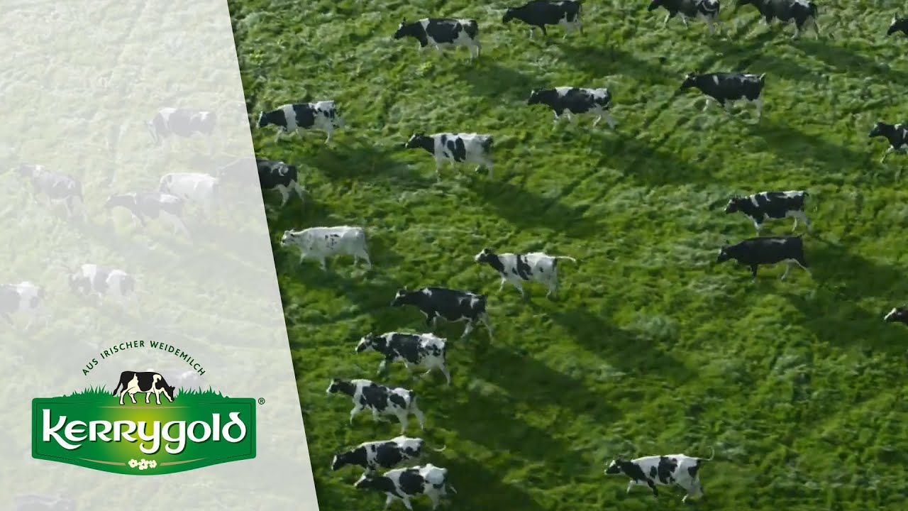 Irische Weidehaltung einfach besser ► Kerrygold