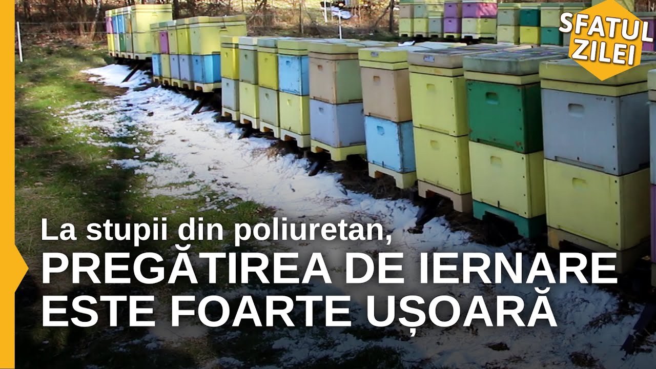 La stupii din poliuretan, pregatirea de iernare este foarte usoara