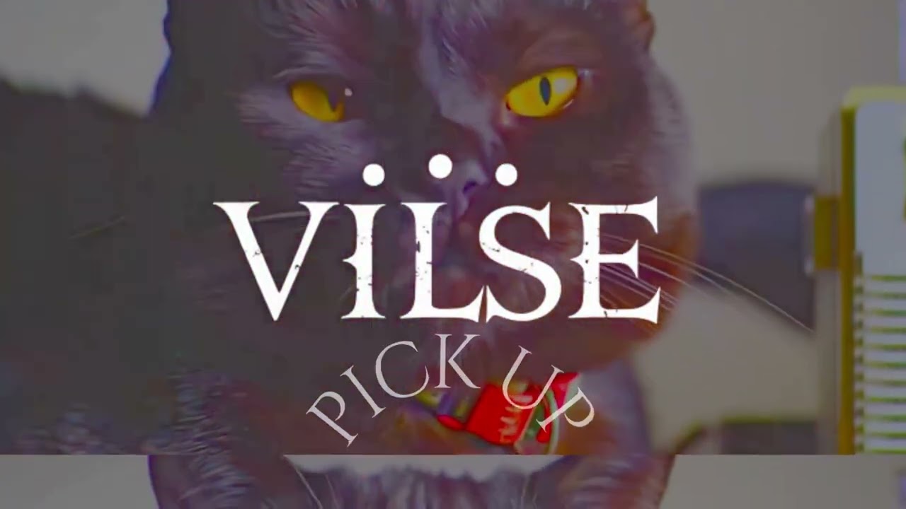 VILSE   .˙.  PICK UP