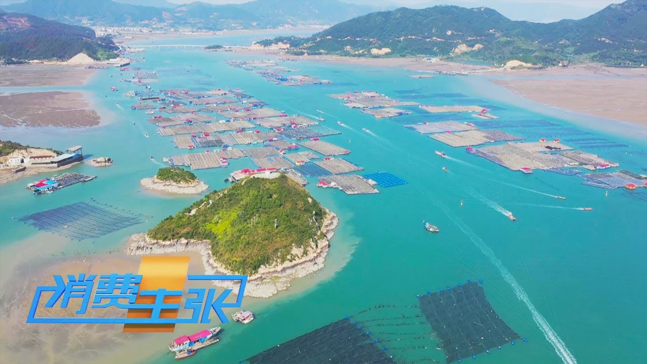 爬峭壁、挤岩缝，什么样的霞浦海鲜，竟让渔民冒着生命危险也要挖到？「消费主张」20230517 | 财经风云