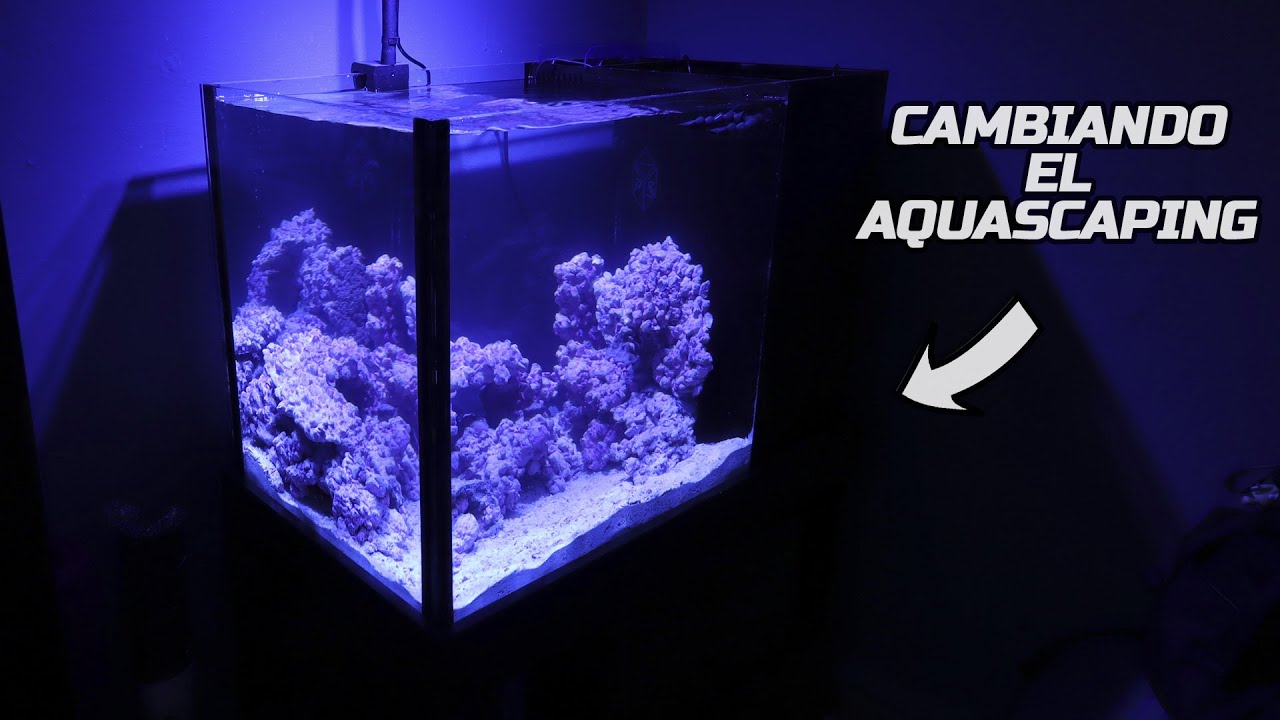Cambiando el AQUASCAPING del ACUARIO MARINO | AcuariosLP