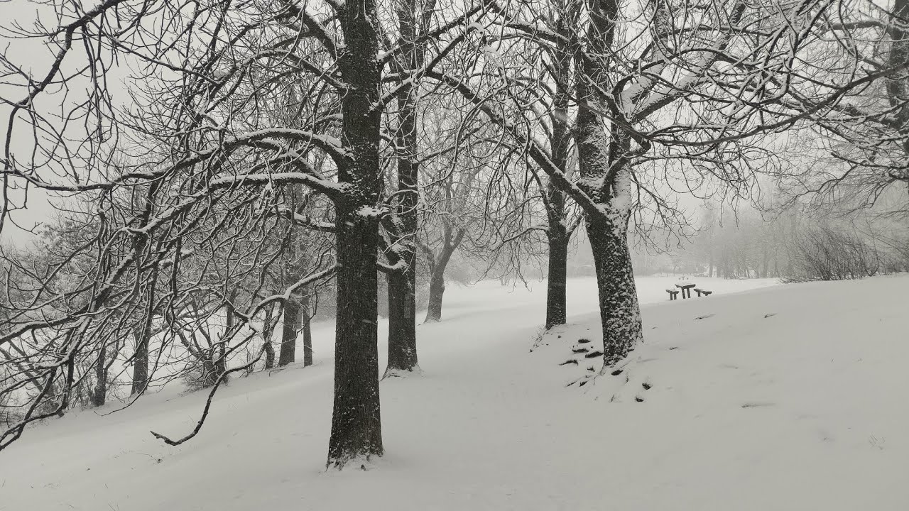 Fresh snow