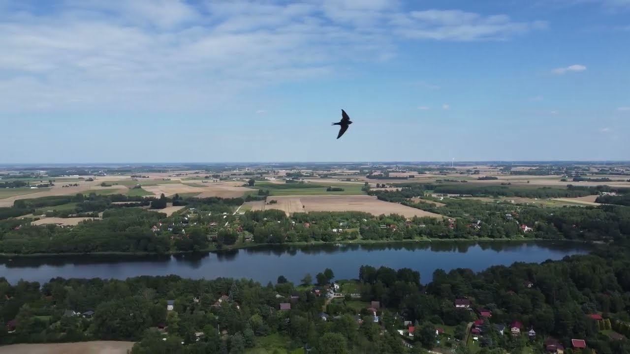 Jezioro Ługowskie i w oddali Jezioro Borzymowskie z lotu ptaka na wysokości 120 metrów - 3.08.2022