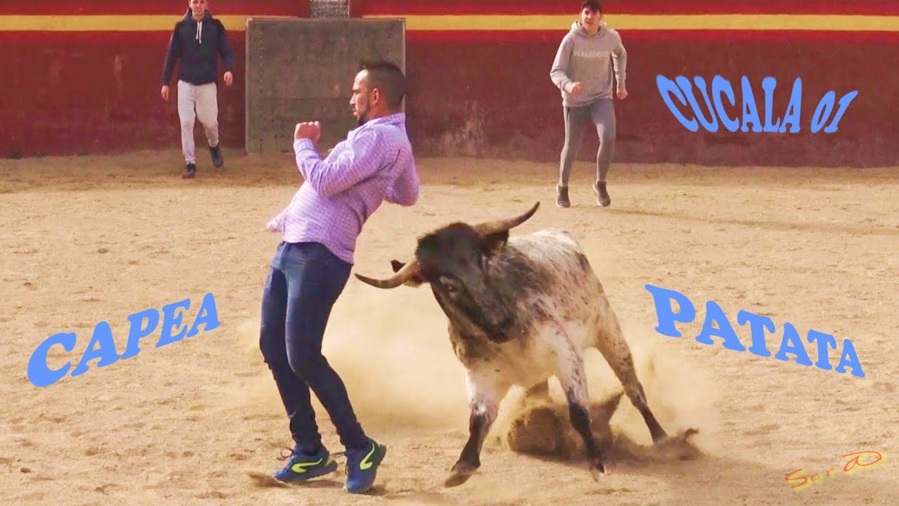 ✅2019 Alcala de Chisvert 01◾ INTEGRA  Cucala Dia de Tentadero