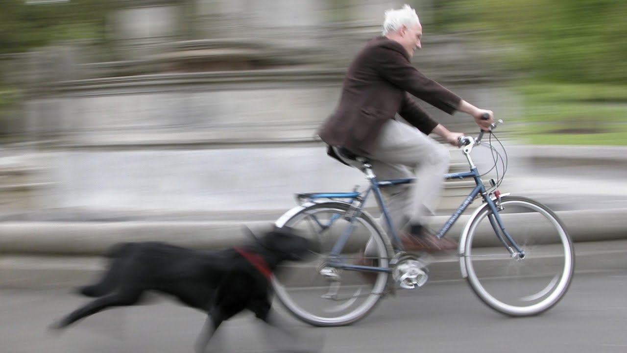 Faire face à une attaque de chien en tant que cycliste