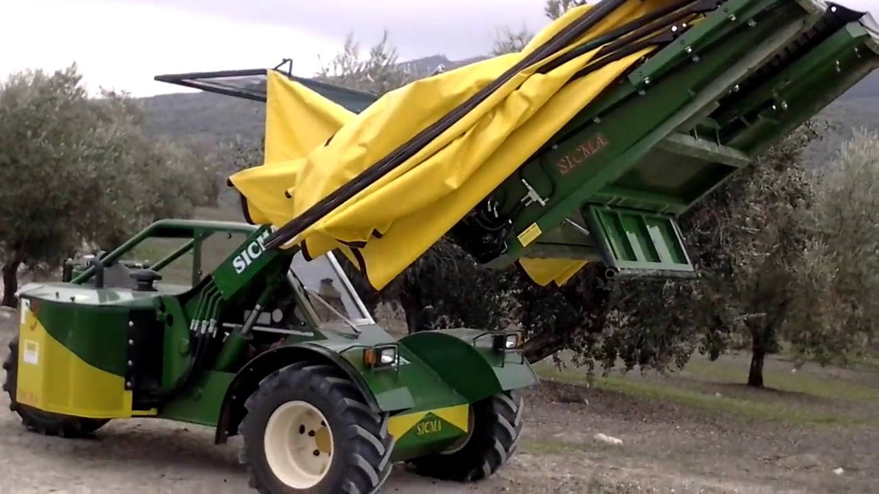 BUGGY SICMA F3 125 CON PARAGUAS