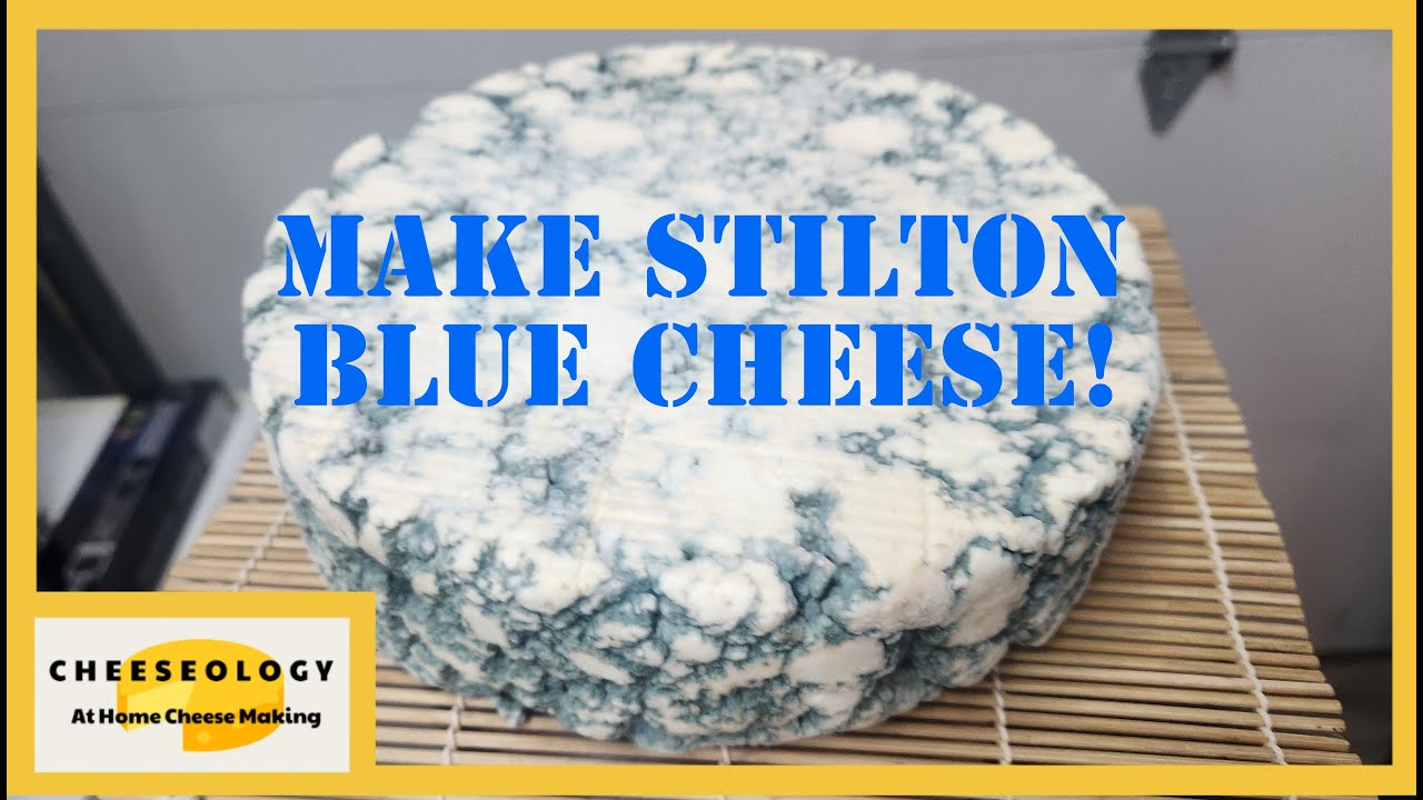 Make Stilton Blue Cheese at Home!