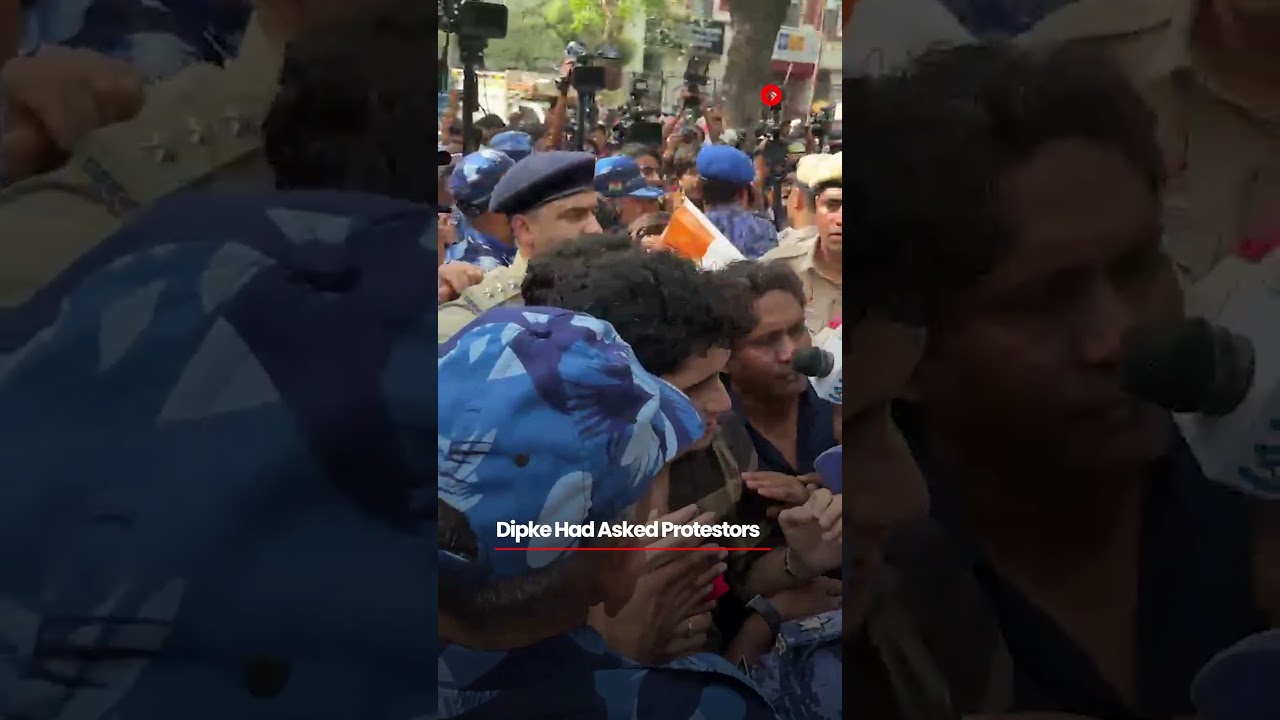 Cockroaches Offer Flowers To Police