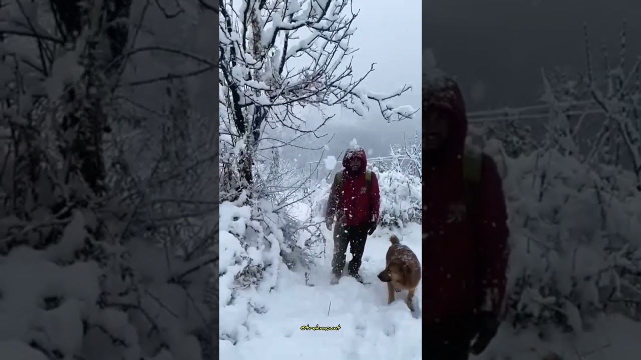 Kedarkantha Trek | 2022-23 winter | Trekmount