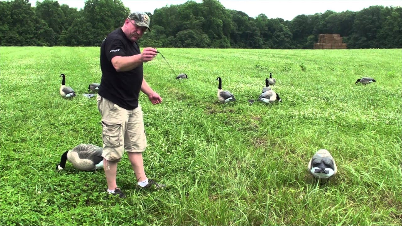 Double Barrel Feet Down Designs Goose Flag Setup, Goose Hunt Waterfowl