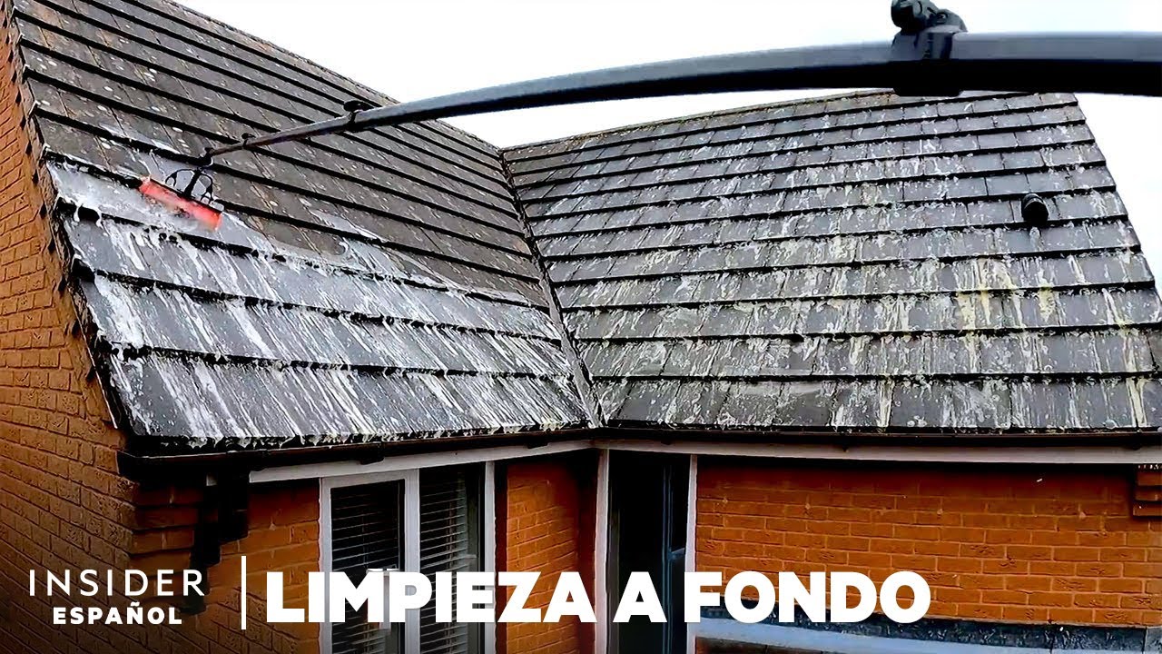 Cómo se limpia a fondo un techo que acumuló musgo durante 28 años | Limpieza a fondo