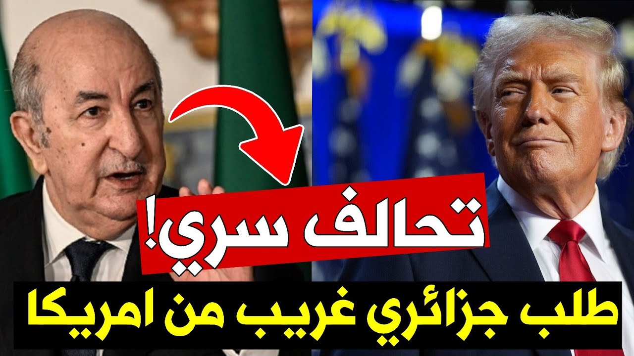 🔥 فضيحة مدوية: كاتبة جزائرية تكشف توسل النظام للتحالف السري مع أمريكا واستحمار الجزائريين بالشعارات