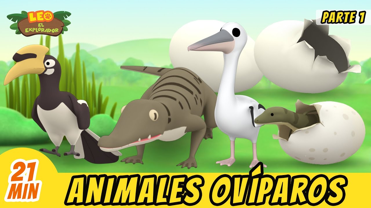 Animales Ovíparos Episodio Compilación [Parte 1/7] - Leo, El Explorador Episodio | Animación