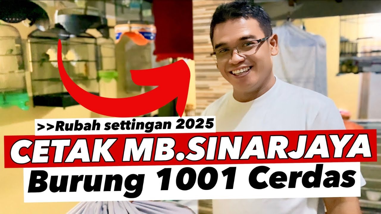 VLOG# GREBEK MURAI SINARJAYA‼️CETAK BURUNG CERDAS,MURAIBATU TEMBAKAN TERPANJANG