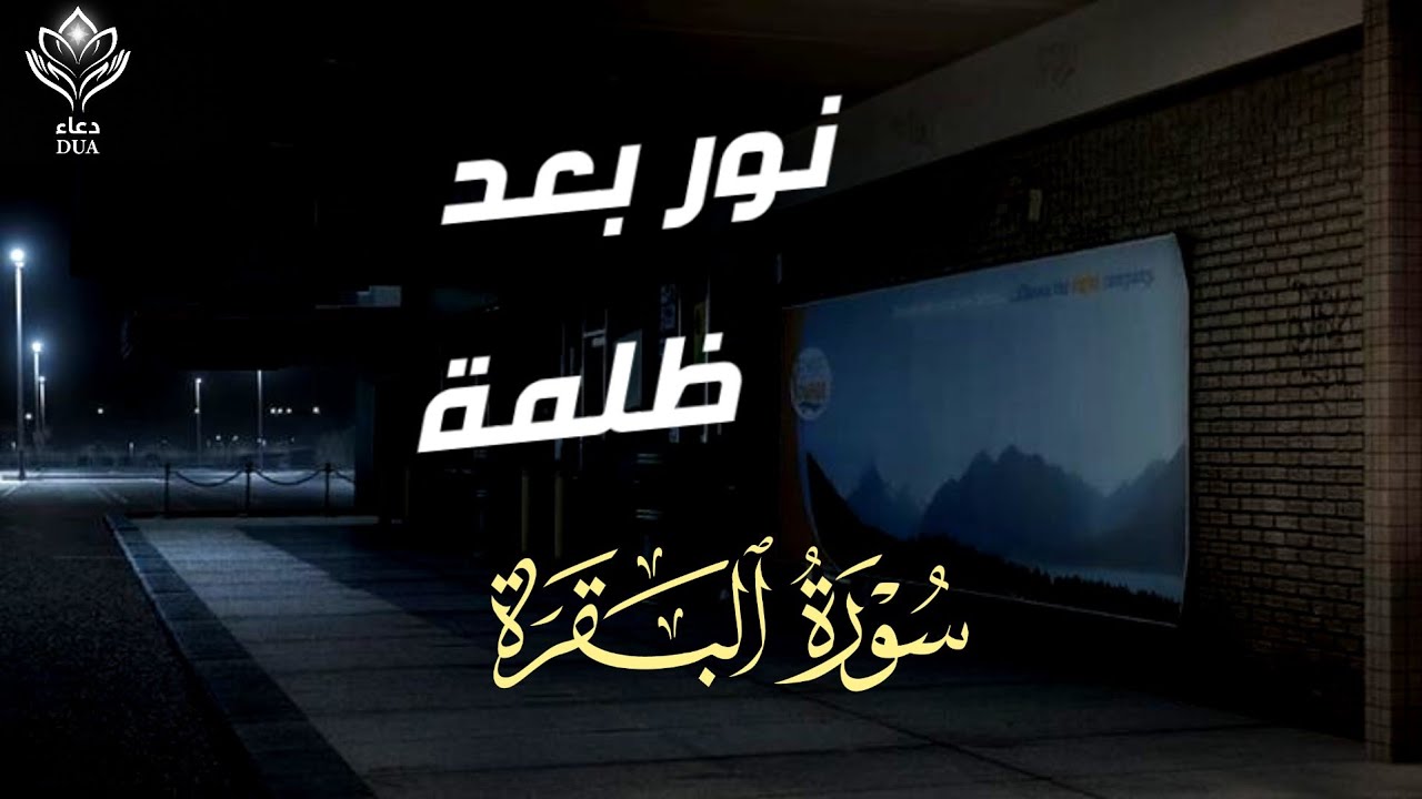 سورة البقرة (كاملة) للشيخ محمد الفقيه لحفظ وتحصين المنزل وجلب الرزق البركة تلاوة رائعة Sourah Baqara