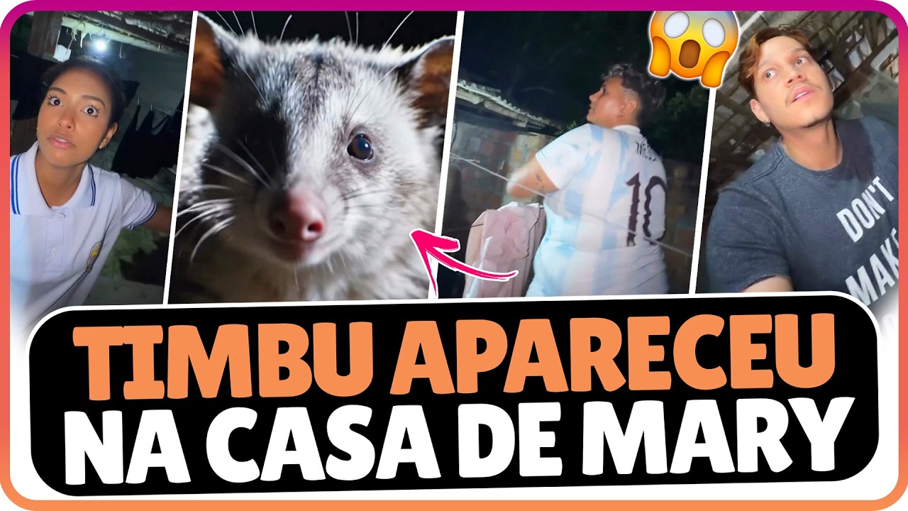 LUELVES FOI AJUDAR MARY DEPOIS QUE O TIMBU VOLTOU PARA CASA DELA  🤭😱#luelvesfelixstories