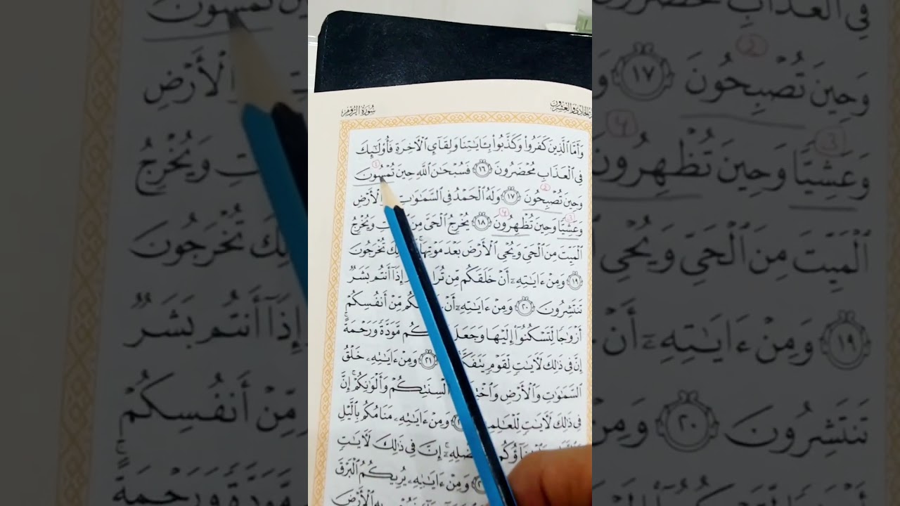 Quranda namaz vaxtları | Şeyx Cavid