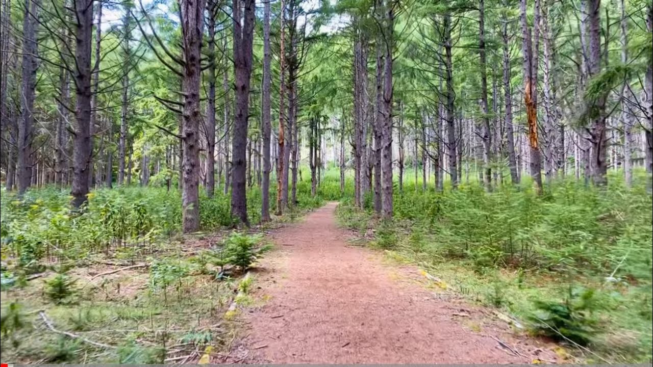 Что посетить на Хоккайдо: дикий остров Nakajima | Хайкинг | Влог | Unesco Global Geopark Toya-Usu