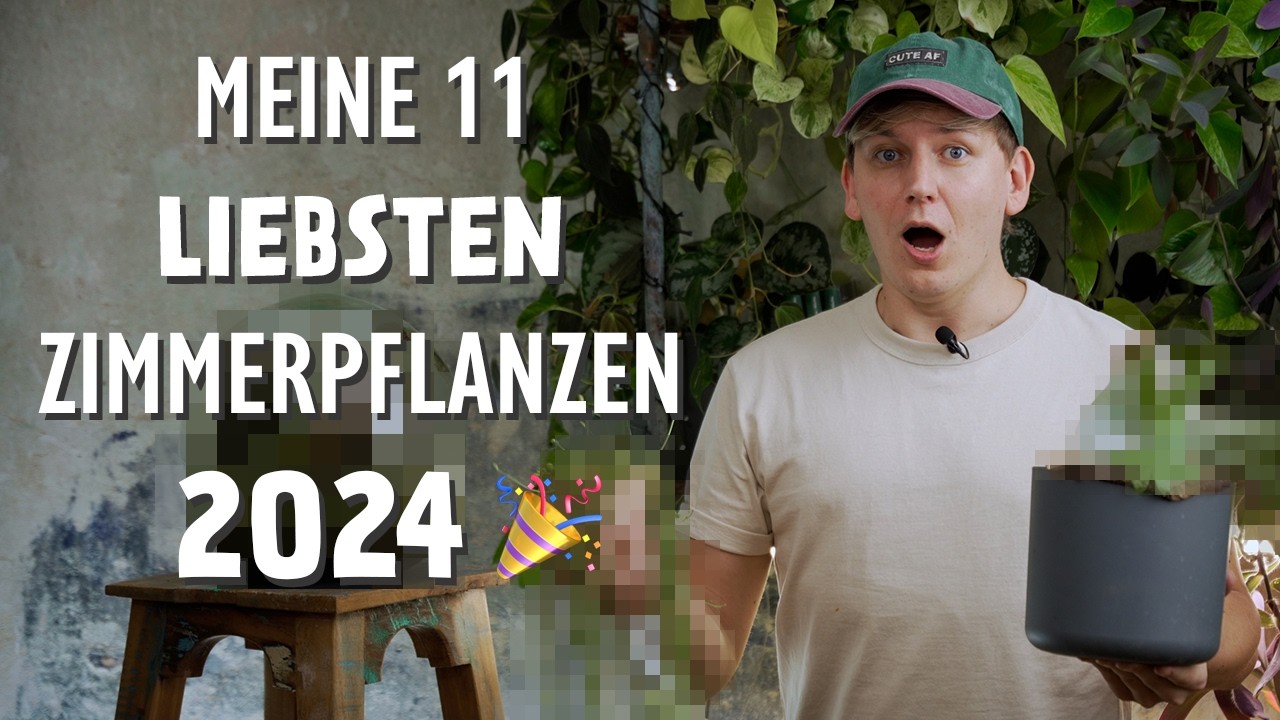 Meine TOP 11 liebsten Zimmerpflanzen 2024 🎉 DIESE Pflanzen haben mein Herz erobert 💚