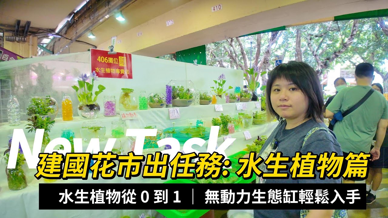 逛建國花市入新坑！水生植物新手報到！