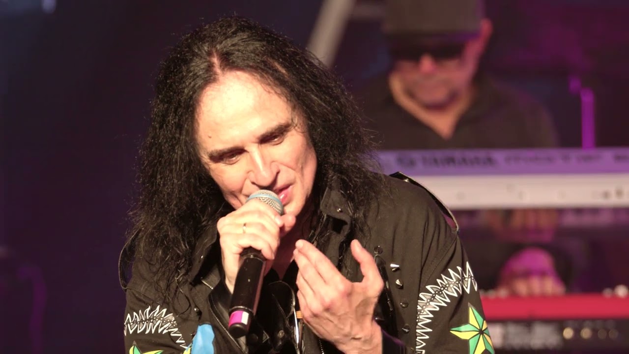 Radu Dolgan - Cântă un artist | 