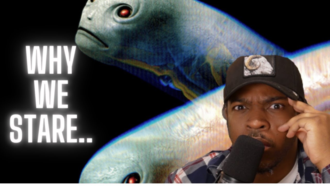 Я признаю поражение | Рэпер отвечает на песню TOOL 