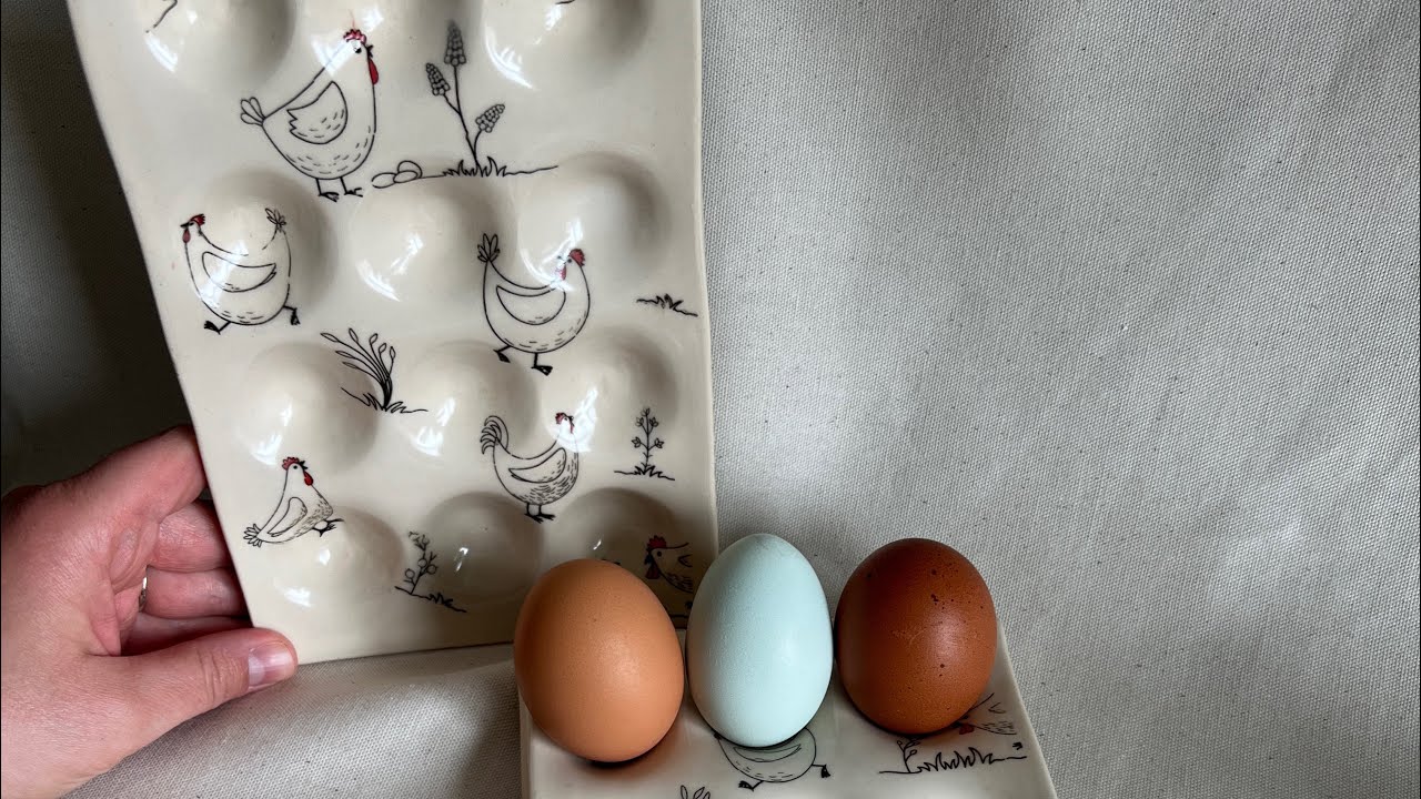 Easy handmade ceramic egg tray tutorial with @hobblecreekpottery  #underglaze #ceramics #eggtray