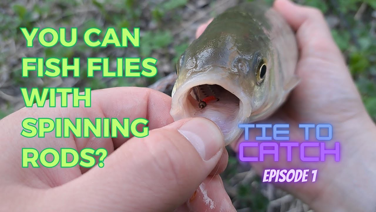 TIE TO CATCH Ep. 1 - Exploring a MYSTERY Stream With Flies on Spinning Gear