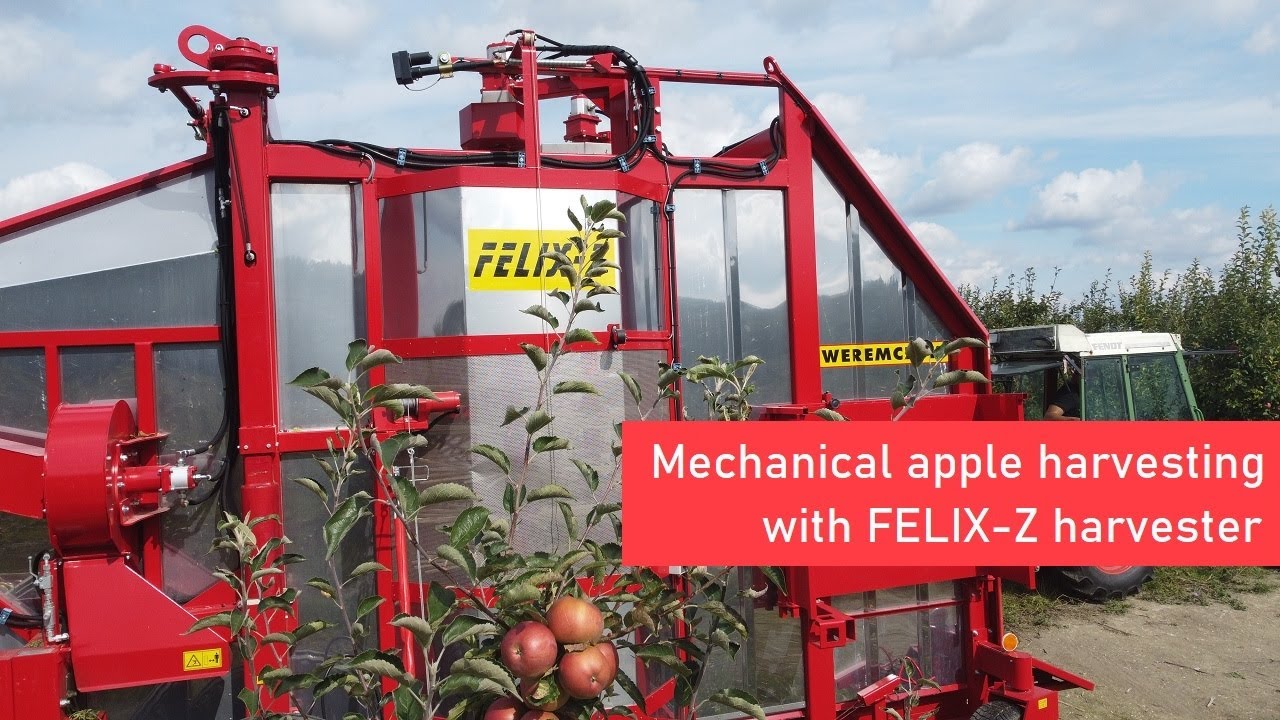 Mechanical apple harvesting with FELIX