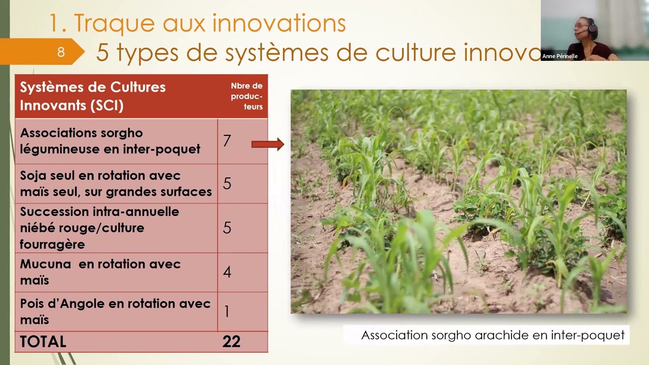Co-conception de systèmes de culture innovants