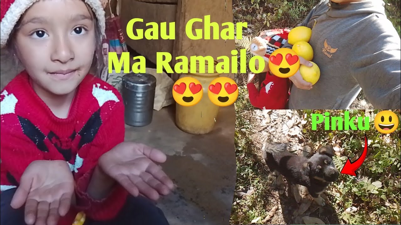 Gau Ghar Ma Ramailo😎
