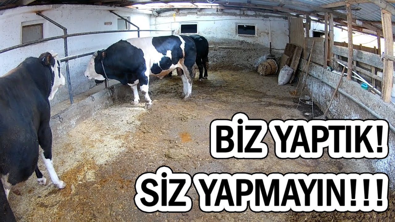 10 BAŞLIK BESİ AHILIMIZIN EKSİKLERİNİ ANLATIYORUZ!!!