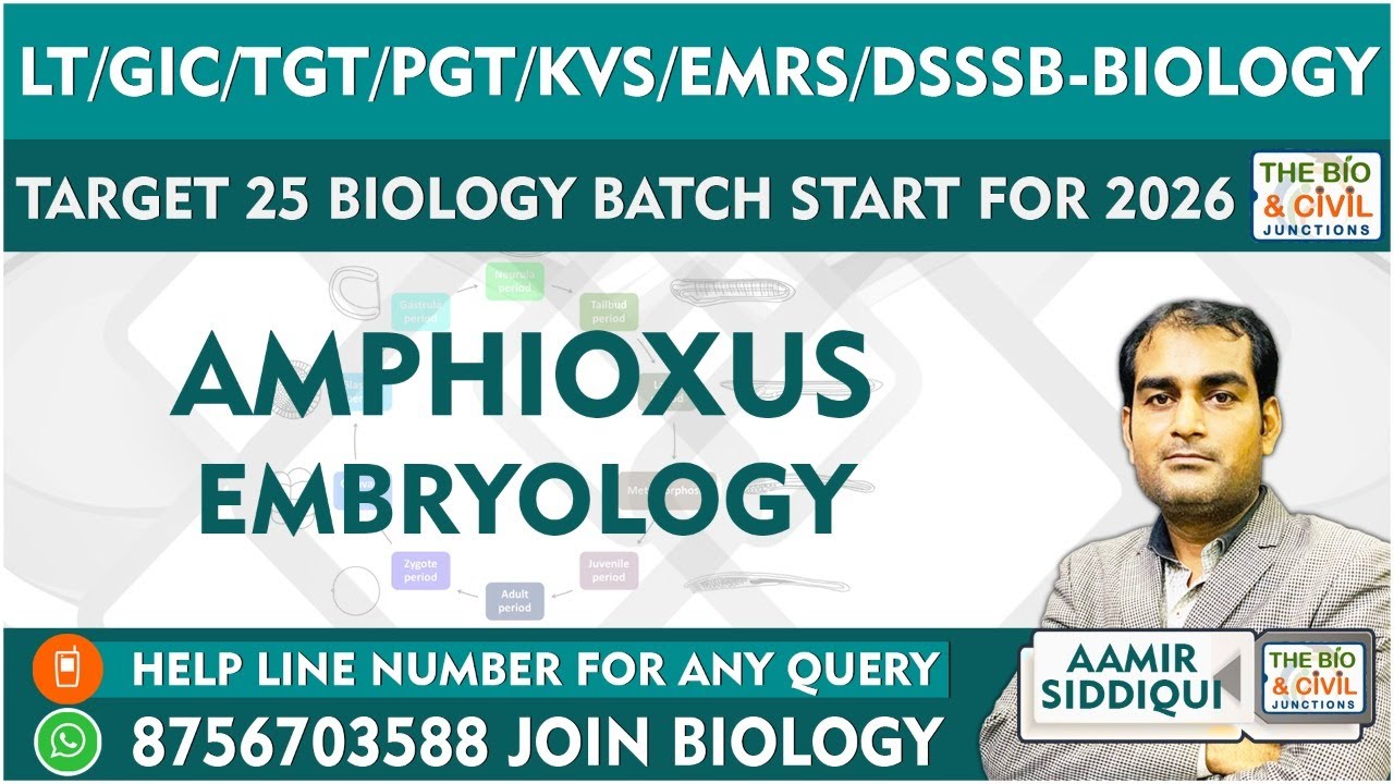 #LT_GIC_TGT_PGT_KVS_NVS_EMRS_DSSSB_BIOLOGY || AMPHIOXUS EMBRYOLOGY || Aamir Sir || THE BIO JUNCTION