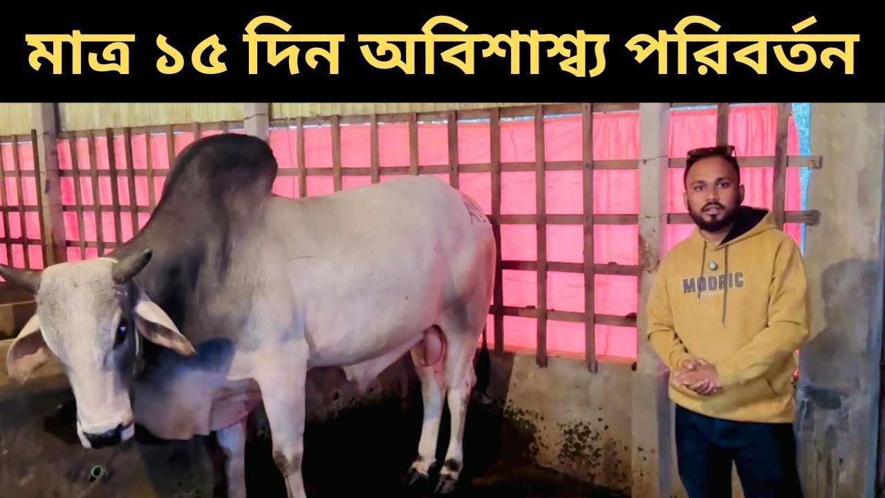 ১৭০ - মাত্র ১৫ দিন অবিশাশ্ব্য পরিবর্তন