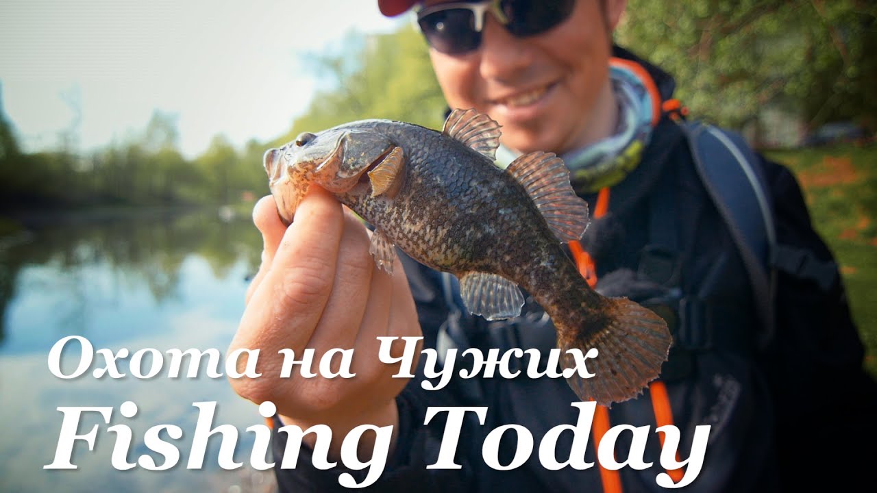 Охота на Чужих - Fishing Today