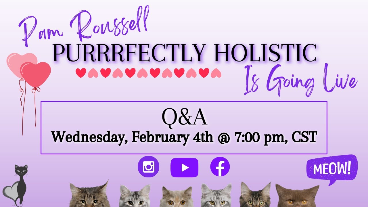 Live Q&A--Holistic Cat Care