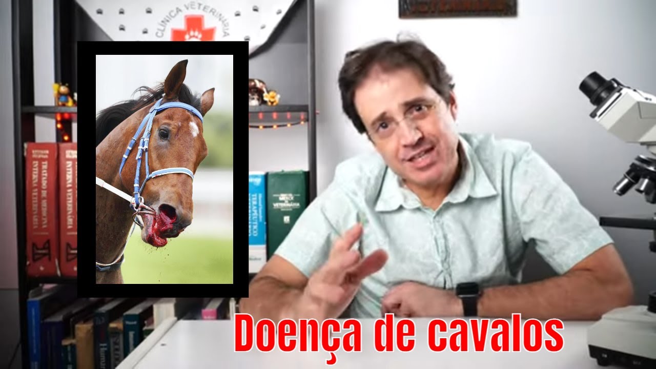 Hemorragia Pulmonar Induzida por Exercício em cavalos