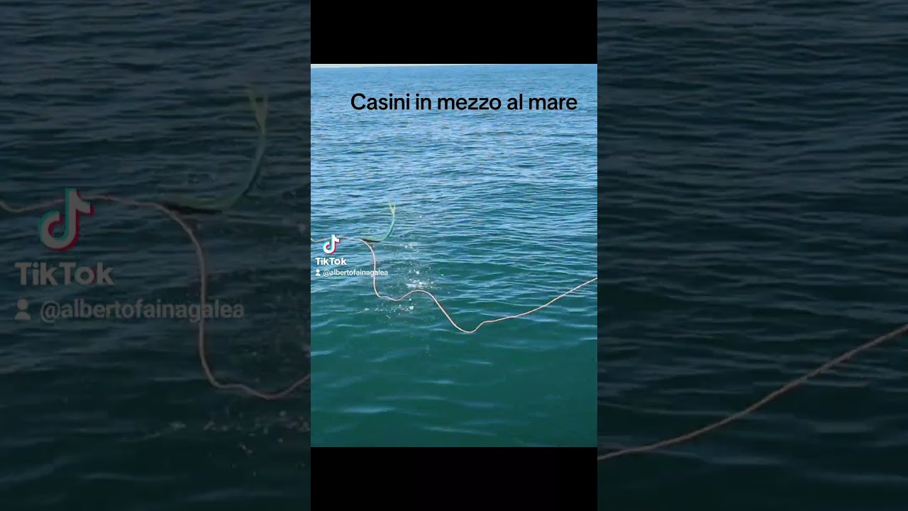 pesca momenti divertenti #Fishing #Funny #dorado #lampughe #jump #pescaamosca #saltwaterfishing