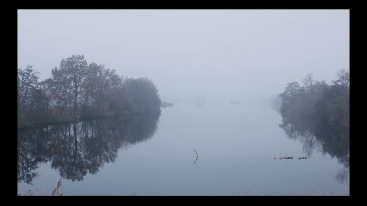Vismigratie rond het Noordzeekanaal