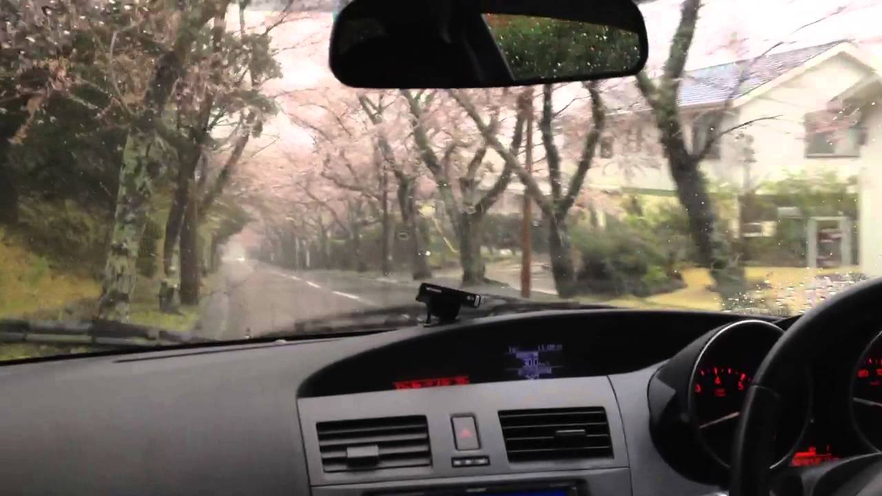 Izu sakura tunnel
