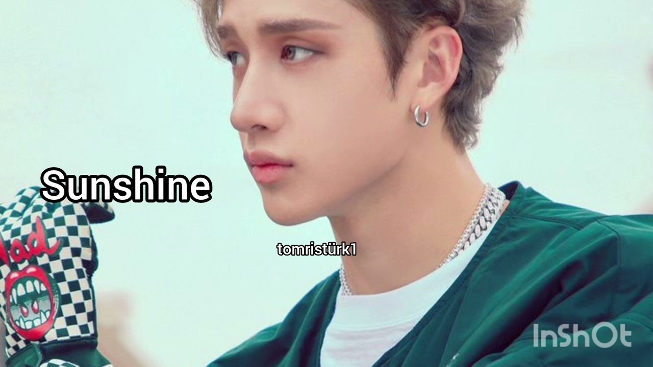 Stray kids Bangchan Clé levanter album line parts 