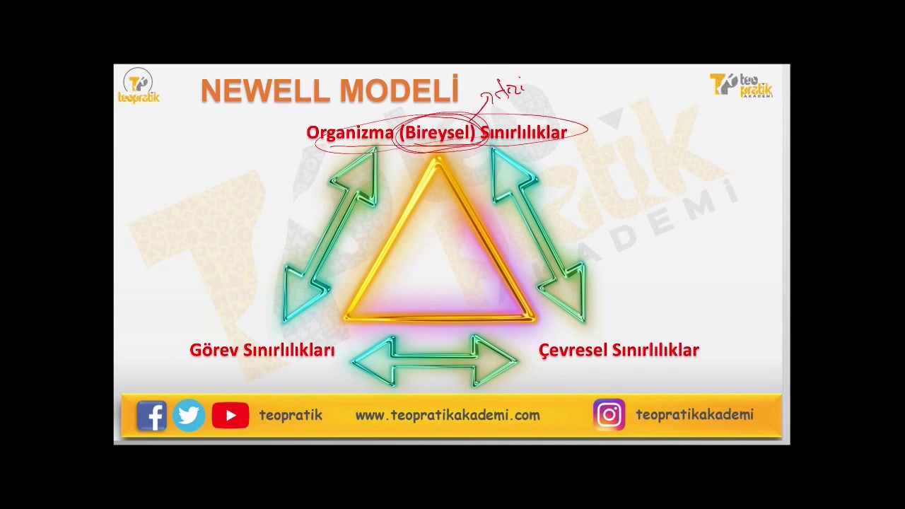 Psikomotor Gelişim - Gelişim Modelleri (Newell Modeli)