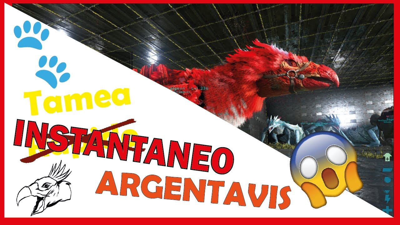 🐾🦅Como tamear un ARGENTAVIS INSTANTANEO 😨 en Ark ||  ark glitch