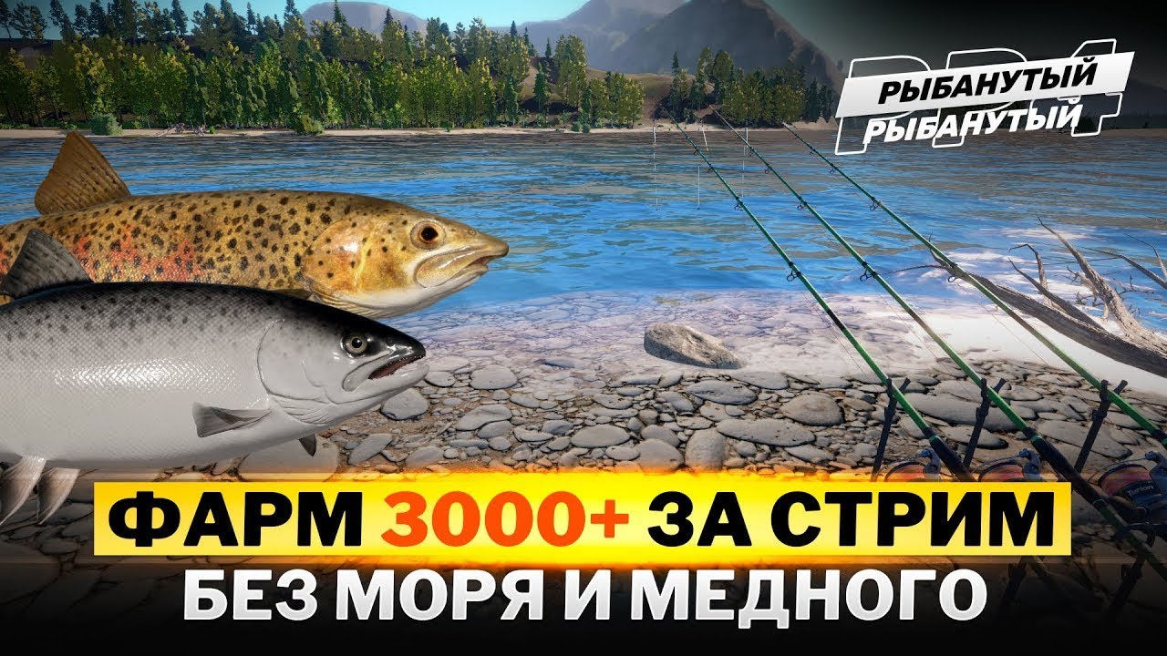 ФАРМ 3000 СЕРЕБРА за СТРИМ ● БЕЗ МЕДНОГО и МОРЯ ● Русская Рыбалка 4