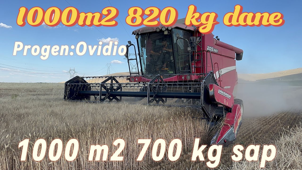Progen Ovidio Dekara 820 kg 1.Sınıf Makarnalık  #progen#nasılyapılır