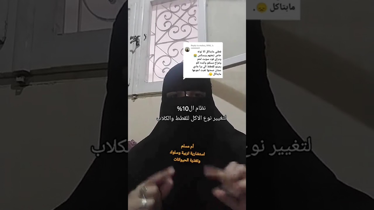 تغيير نوع الاكل للقطط والكلاب بنظام ال١٠% #ommuslimpets #اكسبلور #pets #cat #قطط #اكسبلورر #تيك_توك 
