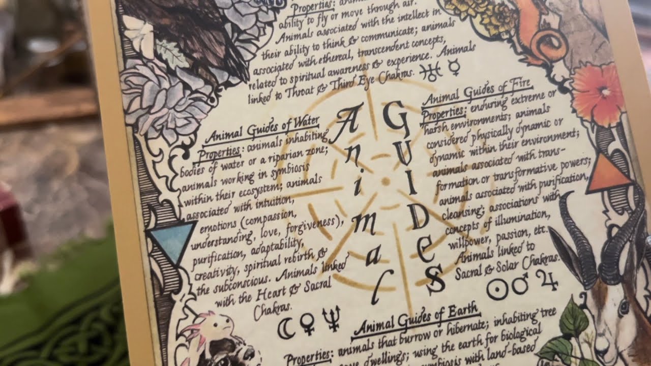 The Witches Roots - The Animal Guide 🐞✨💜(April 2024) Unboxing